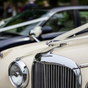 Photo Wedding Guest Transport